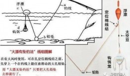 爆料鲢鳙钓法图解视频